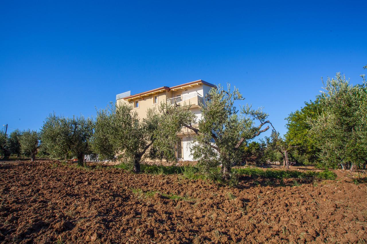Il Gallo Con Gli Stivali Termoli Exteriör bild