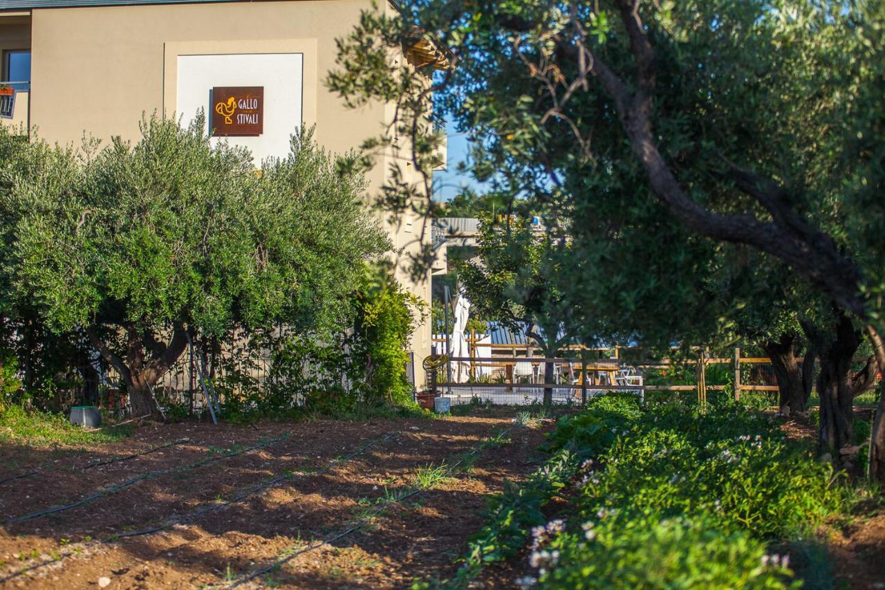 Il Gallo Con Gli Stivali Termoli Exteriör bild
